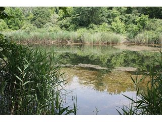 Property photo 13 - 419 +/- Acres offered in 6 Tracts, Land Auction